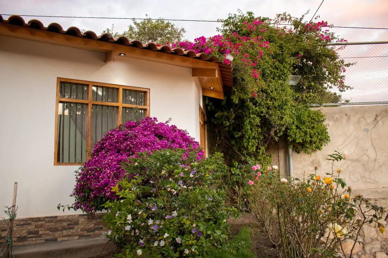 Bungalow blanco rodeado de buganvillas en flor